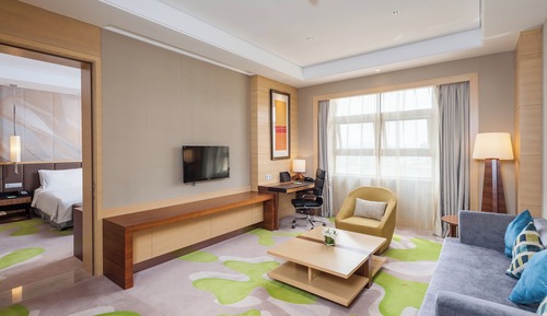 Habitación individual Premier