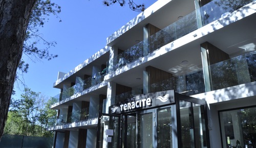 Suite estudio