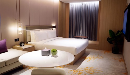 Habitación Premier