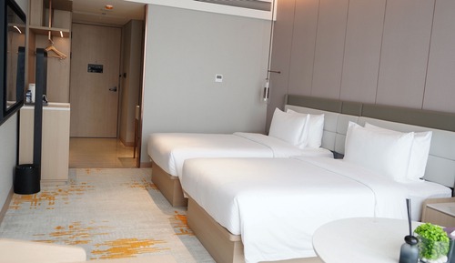 Habitación Deluxe con 2 camas individuales