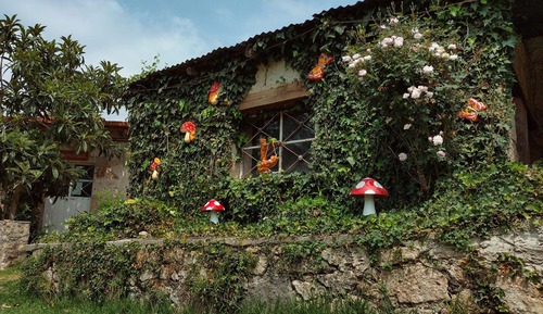 Habitación básica, vistas al complejo turístico
