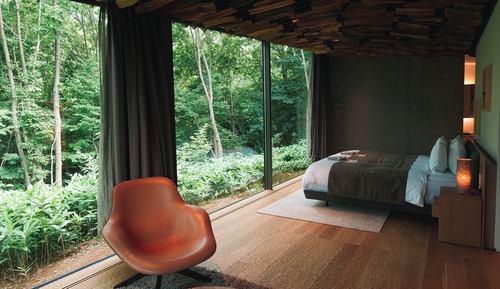 Habitación doble superior, no fumadores (Forest)
