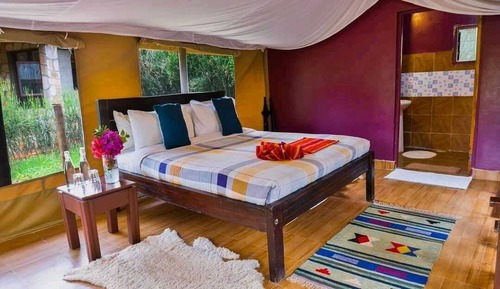 Habitación Deluxe, patio