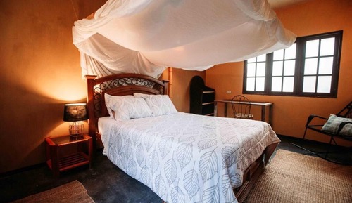 Habitación, vistas al jardín