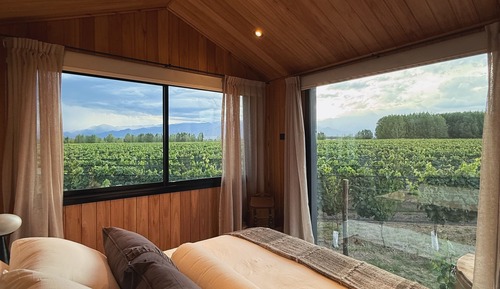 Cabaña Premium, vistas al viñedo