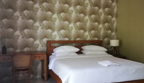 Habitación estándar con 1 cama doble o 2 individuales, vistas al parque
