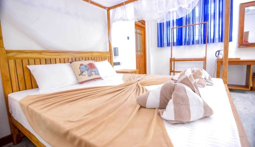 Habitación Confort con 1 cama doble o 2 individuales