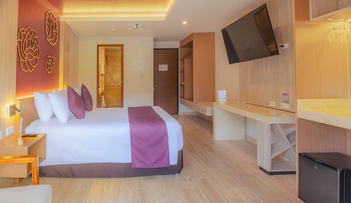 Habitación estándar, vistas al jardín