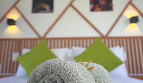 Habitación Premium, vistas al jardín