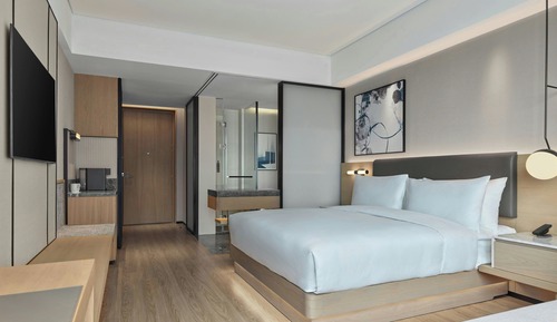 Habitación, 1 cama de matrimonio grande (view)