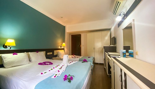 Habitación básica, vistas al jardín