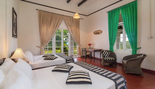 Habitación Deluxe con 1 cama doble o 2 individuales, vistas a la montaña