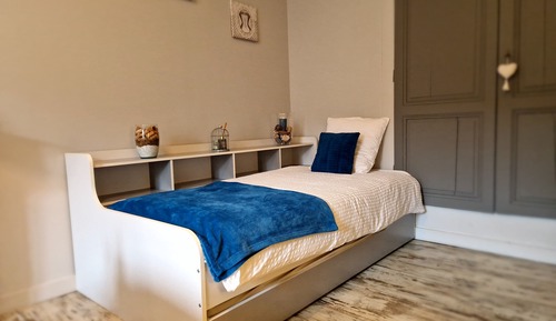 Habitación Confort con 1 cama doble o 2 individuales, vistas al jardín