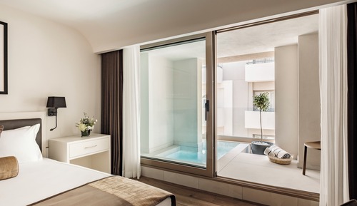 Suite Deluxe, 1 cama de matrimonio grande, piscina privada