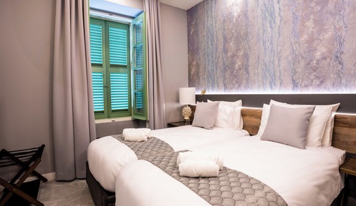 Habitación Deluxe con 2 camas individuales, vistas al jardín