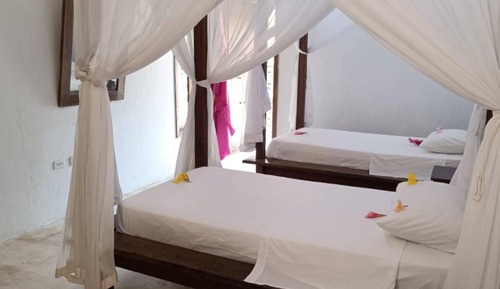 Habitación estándar con 2 camas individuales