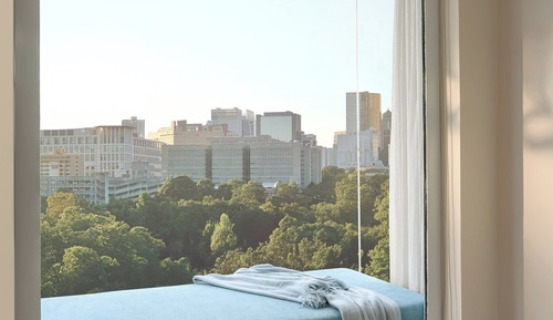 Habitación Deluxe con 2 camas individuales, vistas al parque