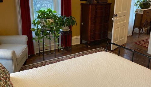 Habitación individual Deluxe, vistas al jardín