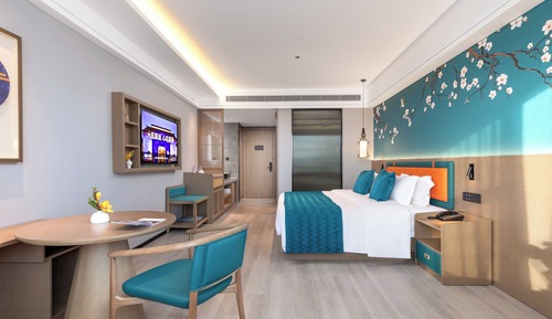 Habitación individual ejecutiva