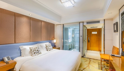 Habitación básica, 1 cama de matrimonio grande