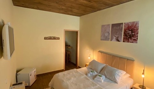 Habitación clásica doble, vistas al jardín