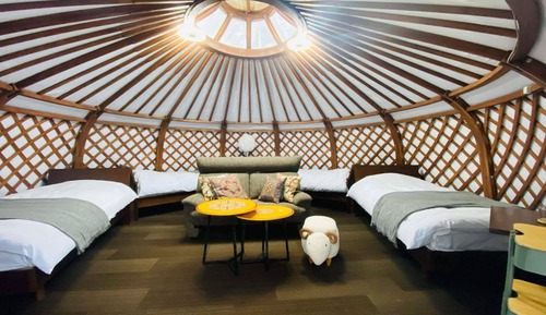 Habitación cuádruple básica