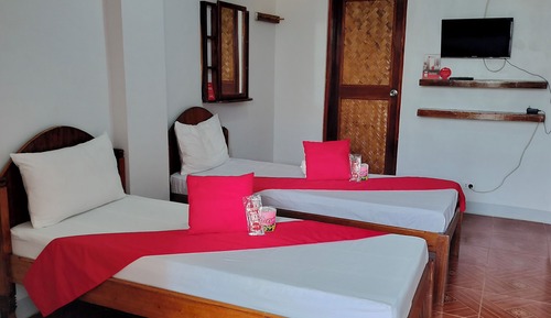 Habitación Deluxe con 2 camas individuales
