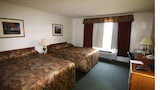 Comfort Single Room
