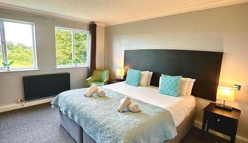 Habitación Deluxe doble, 1 cama de matrimonio grande