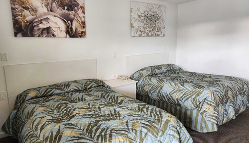 Habitación estándar, 2 camas dobles