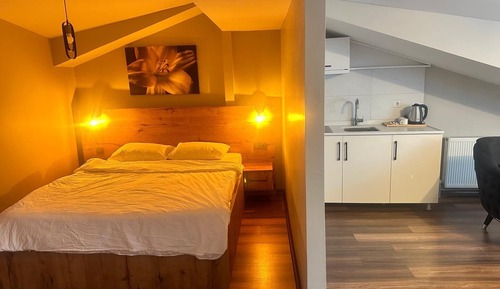 Suite estudio estándar, 1 habitación