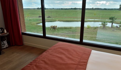 Habitación familiar doble, vistas al parque