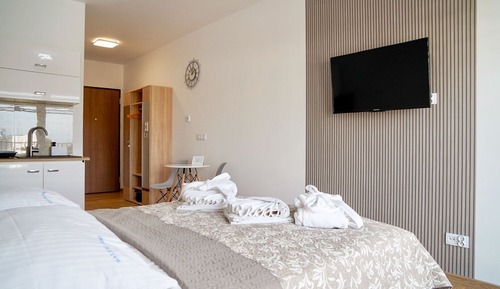 Suite estudio estándar, Se admiten mascotas, vistas a la piscina