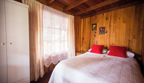 Cabaña Deluxe, vistas al jardín
