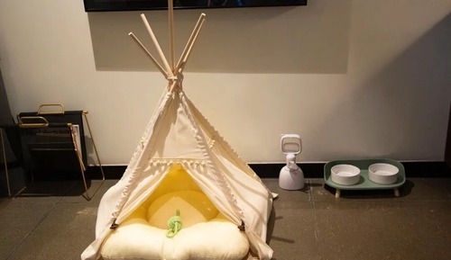 Habitación Premier doble, 1 cama de matrimonio, Se admiten mascotas, vistas al patio