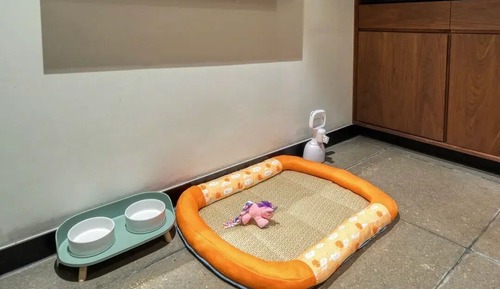 Habitación Premier doble, Se admiten mascotas, vistas al patio
