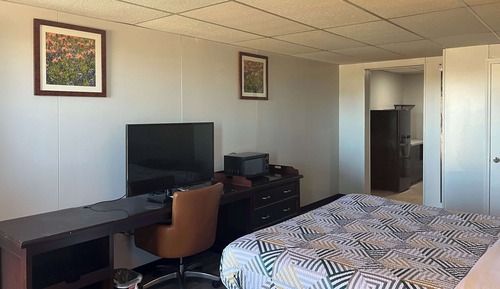 Habitación estándar, 1 cama de matrimonio grande, no fumadores, cocina
