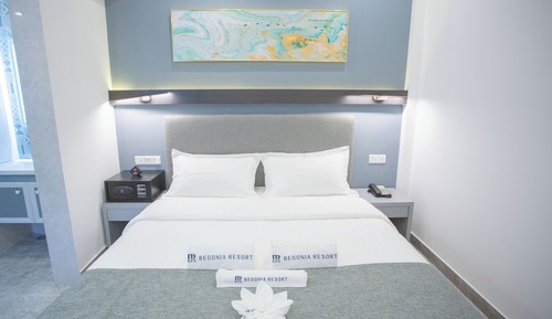 Habitación básica doble