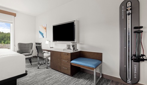 Habitación Premium, 1 cama de matrimonio grande (Trainer)