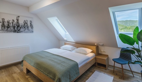 Habitación clásica, baño privado