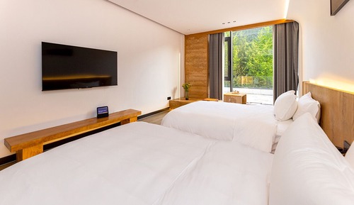 Habitación Confort con 2 camas individuales, vistas a la montaña