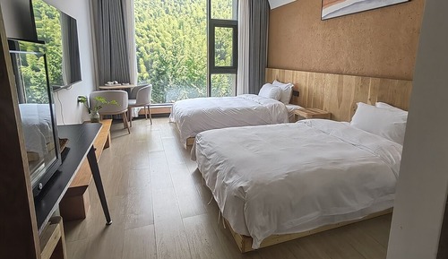 Habitación Deluxe con 2 camas individuales, vistas a la montaña