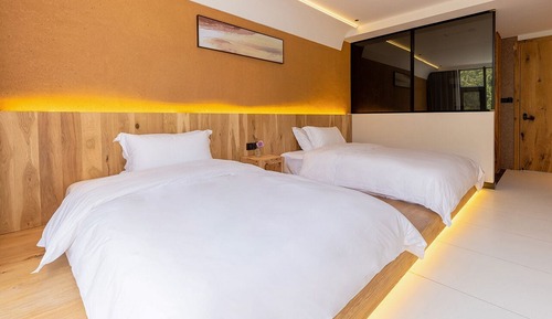 Habitación clásica con 2 camas individuales, vistas a la montaña