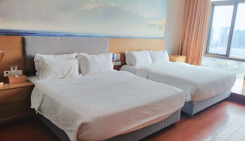 Habitación ejecutiva con 2 camas individuales, vistas a la ciudad