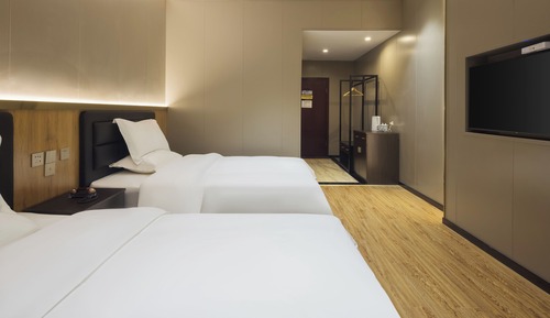 Habitación Elite con 2 camas individuales, balcón, vistas a la montaña