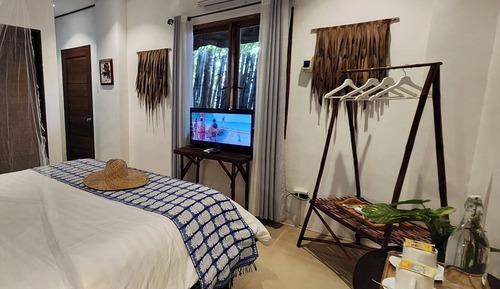 Habitación Premier