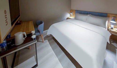 Habitación individual Confort