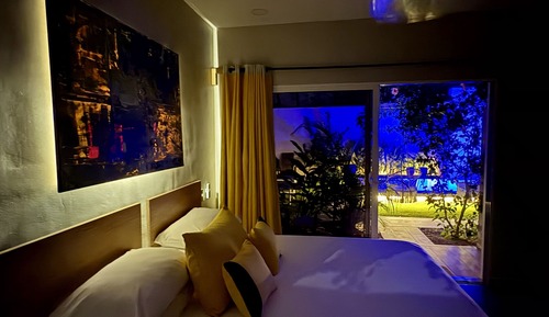 Habitación doble, baño privado, vistas a la piscina (Premium)