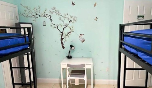Dormitorio compartido Gallery