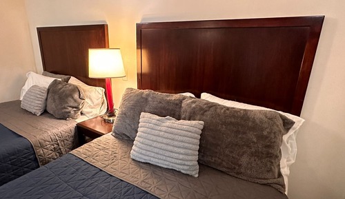 Habitación básica doble